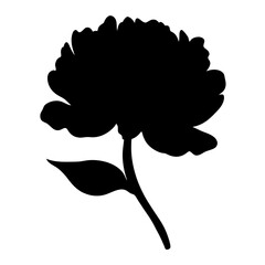 Black silhouette of a peony flower with a leaf on white background © Atique62