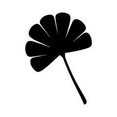 Black silhouette of a ginkgo biloba leaf against white background, isolated