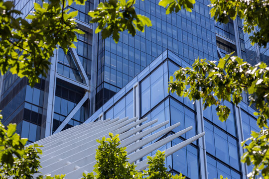 Abstract texture background of New York City urban architecture framed by a natural border of trees