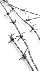 Fototapeta premium Barbed wire strands against white