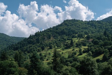 Obraz premium Green trees blue sky and clouds over hills