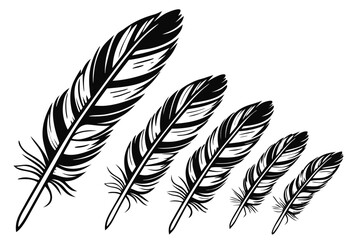 Elegant vintage feather vector illustrations, ideal for diverse design patterns
