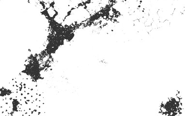 Fototapeta premium Abstract dark grey organic shapes and granular textures on white background vector