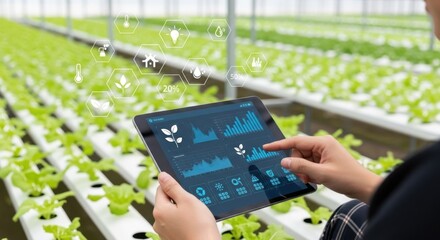 Farmer uses tablet to monitor hydroponic farm with smart technology icons