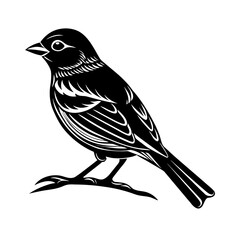 Fototapeta premium a peaceful silhouette of an owl perched on a thick tree limb, resting with its head tucked backward into its body.