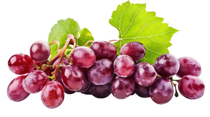 Fototapeta premium Red grapes on branch isolate on transparency background