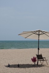 beach chairs and umbrella