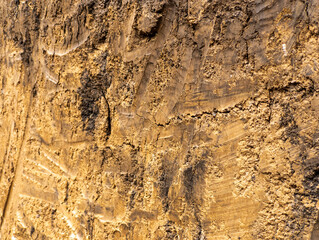 Close -up earthen sterea with roots in the context