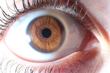 close up of human eye