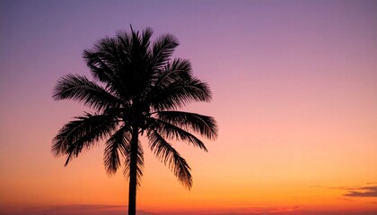 Obraz premium A single palm tree silhouette against a vibrant twilight sky displaying gradient colors of purple and orange