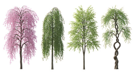 Fototapeta premium Collection of four distinct trees on transparent background, blooming cherry blossom, weeping willow, broadleaf tree, artistic twisted trunk