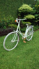 Fototapeta premium A vintage white bicycle is parked in the garden, surrounded by a backdrop of flowers and lush green foliage.