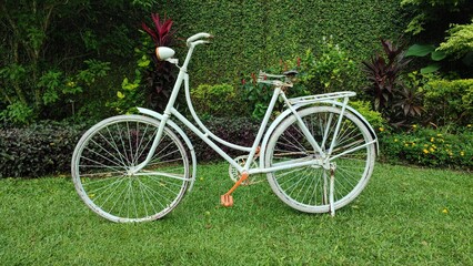 Fototapeta premium A vintage white bicycle is parked in the garden, surrounded by a backdrop of flowers and lush green foliage.
