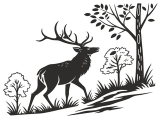 deer in the forest