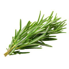 Fototapeta premium A green herb with a long stem