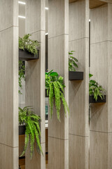 A modern wooden slat room divider or partition used as a vertical planter, holding lush green...