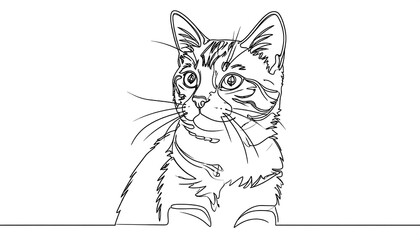 Continuous line drawing of a cat (1)
