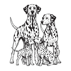 Adorable vector illustration of a Dalmatian family, featuring adults and puppies with their characteristic spotted coats. Dogs, Pet.