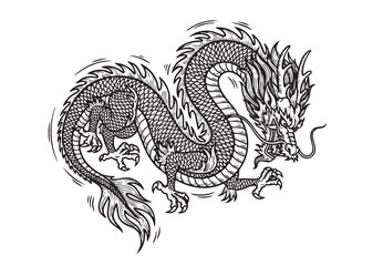 Majestic Asian-style dragon vector illustration, intricately detailed with scales, claws, and flowing mane, perfect for cultural designs.