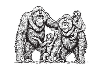 Detailed vector illustration of an orangutan family, capturing the bond between adults and their young in a natural setting. Wildlife Animals.