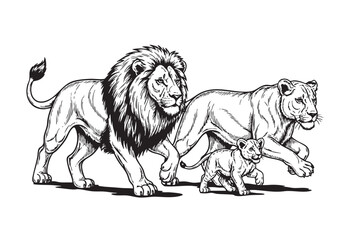 Powerful vector illustration of a lion family, depicting a majestic male, a protective lioness, and their cub. Wildlife Animals.