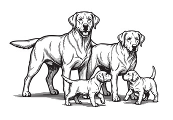 Charming vector illustration of a Labrador family, with adult dogs and their curious, energetic puppies. Dogs, Pet