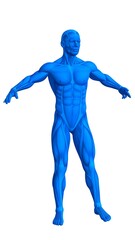 Blue anatomical human figure