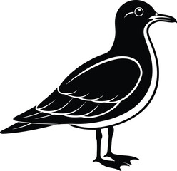 Seagull Silhouette Side View Icon.