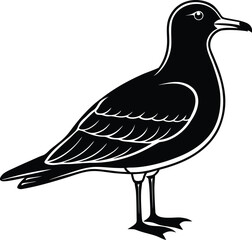 Single Gull Bird Silhouette Graphic.