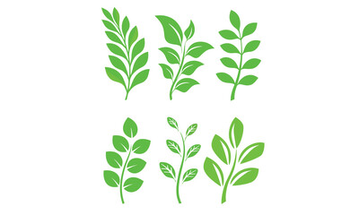 Leaf Icon Vector Bundle