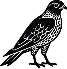 Single Sparrowhawk Flying Bird Vector.
