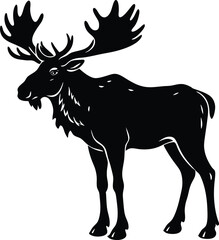 Fototapeta premium Standing Moose Silhouette Large Antlers.