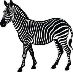 Fototapeta premium Walking Zebra Silhouette with Stripes.