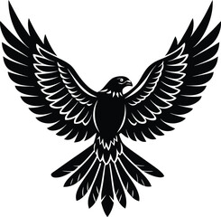 Wild Hawk Flying Bird Silhouette.