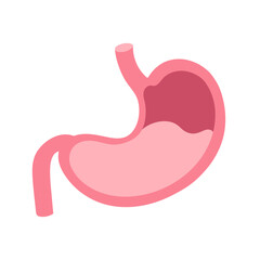 Human stomach organ vector illustration. Simple flat design for posters, banners, cards. Surgery, medicine topic. Human stomach icon isolated on white bg