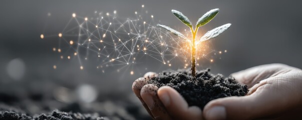 Eco Startup concept A hand holds soil and a sprouting plant, symbolizing growth and innovation with digital connections.