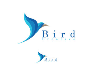 bird logo creative design concept flying animal