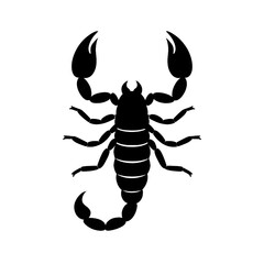 Obraz premium scorpion silhouette vector