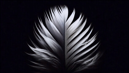 Obraz premium A minimalist single feather with golden light on dark background, Ai generated image