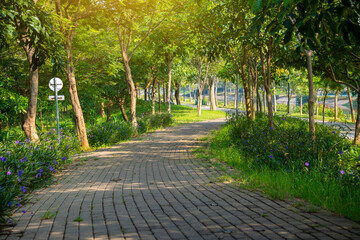 Greenbelt, Pantai indah kapuk 2, Jakarta : A paved pathway winding through a sunlit park with abundant green trees and lush plants, ideal for walks and outdoor scenes.