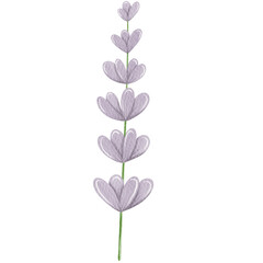 Watercolor cute lavender flower illustration.