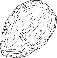 Chicken with breadcrumb hand drawn ink sketch vector