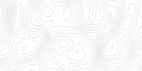 Fototapeta premium Pattern with lines and dots The stylized height of the topographic map contour in lines and contours isolated on transparent. Black and white topography contour lines map isolated on white backgroun