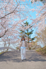 Woman tourist sightseeing Sakura Cherry Blossom in Spring. Happy traveler travel at Saigyo Modoshi no Matsu over Matsushima Bay in Matsushima, Miyagi Prefecture, Japan. Famous Landmark and Vacation