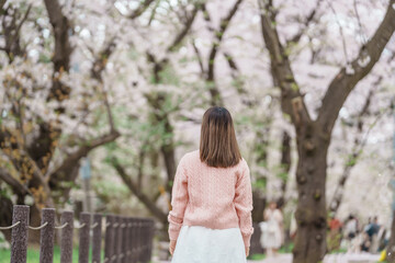 Woman tourist sightseeing Kajo Park Yamagata Castle Ruins with Sakura Cherry Blossom in Spring, happy traveler travel in Yamagata prefecture, Tohoku, Japan. famous Landmark for Travel and Vacation