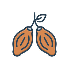Color illustration icon for cacao beans
