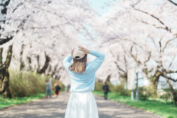 Woman tourist sightseeing Kitakami Tenshochi Park with Sakura Cherry Blossom in Spring, traveler...