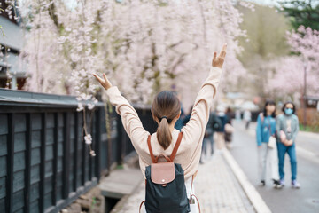 Woman tourist sightseeing Sakura Cherry Blossom in Spring. Happy traveler travel in Samurai village...