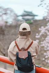 Woman tourist sightseeing Hirosaki Castle with Sakura Cherry Blossom in Spring, happy traveler...
