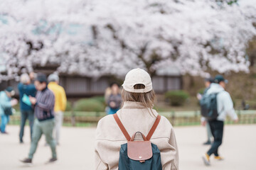 Woman tourist sightseeing Hirosaki Castle park with Sakura Cherry Blossom in Spring, traveler...